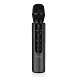Green Lion Karaoke Microphone - GNKRKM6MICBK - Black